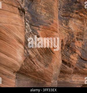 Les anciens Pueblo ont gravé des pétroglyphes anciens sur une falaise de grès Navajo dans le parc national de Zion pour une expression culturelle. Banque D'Images