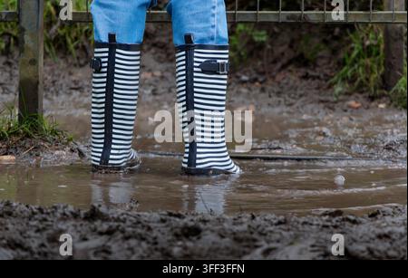 Personne portant des bottes en caoutchouc rayées debout dans une flaque boueuse près d'une porte métallique dans la campagne pluvieuse de l'Oxfordshire. Banque D'Images