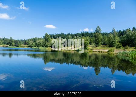 Lac tranquille reflétant des arbres verts luxuriants et un ciel bleu par une journée ensoleillée, Willow Trail, Surrey, BC V3R 8A8, Canada Banque D'Images
