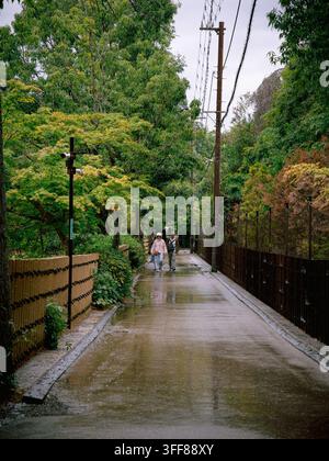 Deux personnes marchant le long d'une allée humide bordée de bambous, alignée d'arbres par un jour de pluie dans l'arrondissement d'Ukyo, Kyoto, Japon Banque D'Images