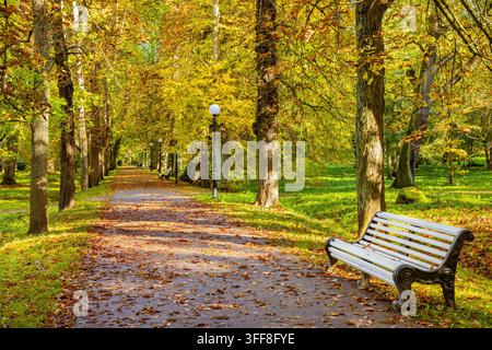 Chemins de parc parsemés de feuilles d'automne. Kadriorg, Tallinn, Estonie Banque D'Images