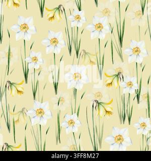 Fleur de jonquille printanière. Aquarelle Narcisse, pâques illustration dessinée à la main isolé sur fond, png transparent. Clip art botanique et mariage Banque D'Images