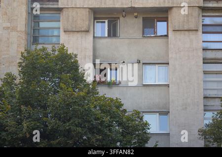 Fleurs colorées aux fenêtres illuminant une façade d'appartement grise derrière des arbres feuillus Banque D'Images