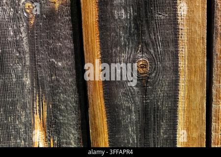 Planches de bois rugueuses avec un nœud circulaire proéminent affichant des anneaux dramatiques et des tons carbonisés, la lumière du soleil révèle les détails de la veine du bois, offrant un fond rustique sombre Banque D'Images