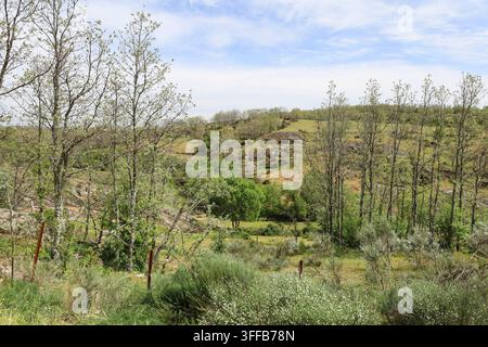 Paysage verdoyant de la montagne de Sierra de Francia dans la province de Salamanque, Castille et León, Espagne Banque D'Images