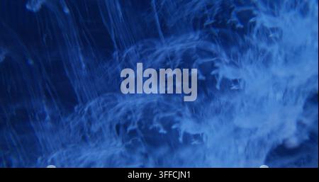 Fumée bleue floue. Peinture de fumée nuageuse. Brume de couleur acrylique vibrante pigment arc-en-ciel texture lumineuse s'étalant sur un fond abstrait. Banque D'Images