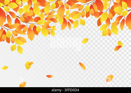 Clipart vectoriel représentant des branches d'automne. Bannière horizontale avec des feuilles de hêtre orange et jaunes. Saison des chutes de feuilles. Les feuilles d'orme tombent doucement et dansent dans le vent. Période de soldes. Illustration de Vecteur