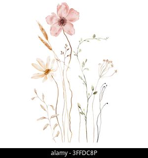 Bouquet de fleurs sauvages aquarellé. Coquelicot rose, marguerite blanche, tiges de blé et têtes de graines séchées sur fond blanc. Illustrations peintes à la main Banque D'Images