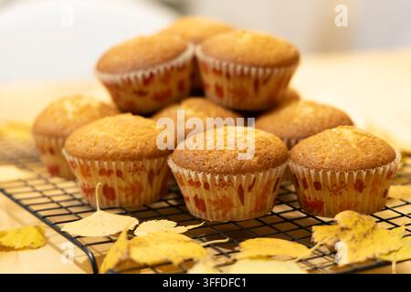 Un lot de muffins dorés sur le brun reposant dans des moules en papier décorés de motifs de feuilles d'automne se trouve sur une grille de refroidissement en fil noir, entouré de feuilles d'automne jaunes. T Banque D'Images