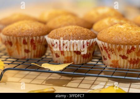 Un lot de muffins à la vanille dorés-bruns dans des caissettes en papier sur le thème de l'automne reposant sur une grille de refroidissement en fil de fer, entourés de feuilles d'automne jaunes sur un Banque D'Images