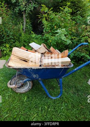 Chariote chargée de bois de chauffage pour le transport vers une propriété de campagne, avec un grand tas de bûches en arrière-plan. Banque D'Images
