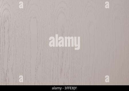 Texture de bois clair présentant des motifs de veinures fines et une finition lisse, adaptée à divers projets de design incluant des meubles, des revêtements de sol et la décoration intérieure Banque D'Images