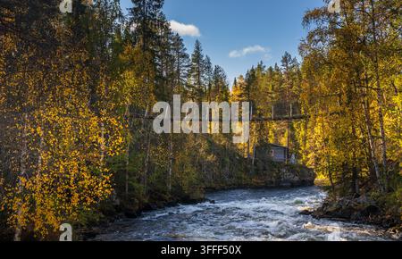 Vue du pont suspendu sur le sentier circulaire Pieni Karhunkierros traversant une rivière entourée d'une forêt d'automne et d'une cabane en bois à Kuusamo, Nord Banque D'Images