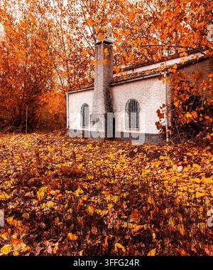 Maison rustique aux murs en stuc texturés et à grande cheminée entourée d'arbres et de sol couvert de feuilles d'automne orange vives et dorées Banque D'Images