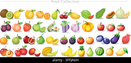 Ensemble vectoriel de collection de fruits comprenant des fruits tropicaux, des baies fraîches, de la pastèque, un bouquet de bananes, de l'ananas, du fruit du dragon et un ensemble de tranches d'agrumes. Illustration de Vecteur