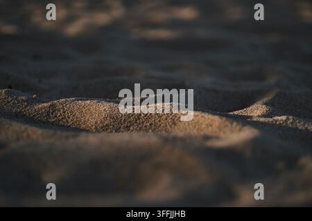 Close-up d'un sable de plage texturé ondulé sous le soleil avec lumière et ombre Banque D'Images