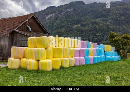 Ballons de silo colorés enveloppés dans un film étirable coloré Ballons empilés devant une ferme près de Vilters-Wangs. Vilters-Wangs, canton de Saint-Gall, Suisse Banque D'Images