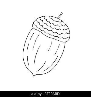 Graine de chêne, graine d'arbre, illustration vectorielle simple dessinée à la main, élément de conception automnale, célébration de Thanksgiving, concept de récolte Illustration de Vecteur
