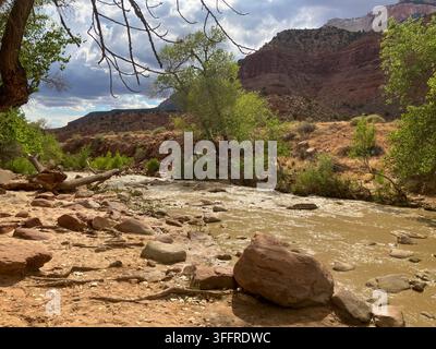 Virgin River dans Zion National Park, Utah, USA Banque D'Images
