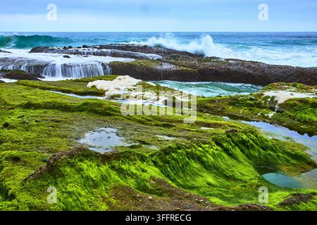 Bassins de marée recouverts de mousse et vagues déferlantes de l'océan Pacifique sur une plage rocheuse de Californie Banque D'Images