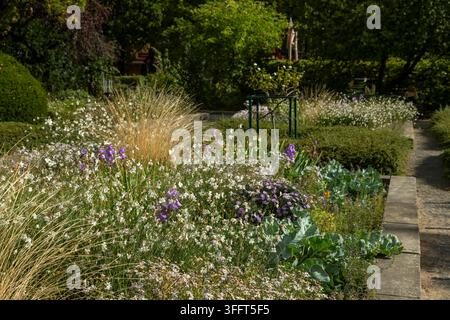 Massif de fleurs luxuriant rempli de diverses fleurs en fleurs, de graminées ornementales et de plantes vertes dans un chemin de jardin. Banque D'Images