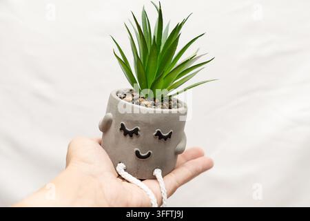 Main tenant une petite plante succulente verte dans un pot mignon en forme de visage gris rempli de pierres décoratives sur un fond neutre et lumineux. Banque D'Images