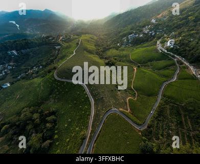 Vue aérienne des plantations de thé luxuriantes et vertes de Munnar avec des routes sinueuses traversant les collines à Munnar, Kerala, Inde. Banque D'Images