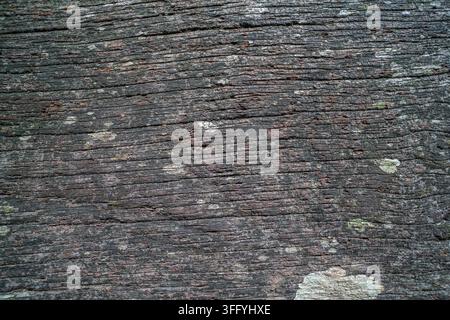Un cliché macro détaillé et net met en valeur la surface usée du bois vieilli. La texture révèle des motifs de veines naturels prononcés. Banque D'Images