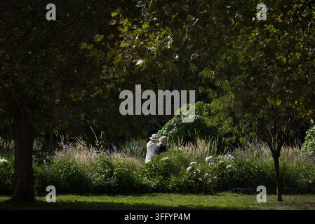 Deux personnes se promenant dans un jardin luxuriant baigné de soleil, entouré d'arbres verts, de fleurs et de graminées ornementales dans un parc public. Banque D'Images