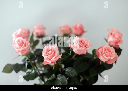 Bouquet de roses roses avec un fond flou doux Banque D'Images
