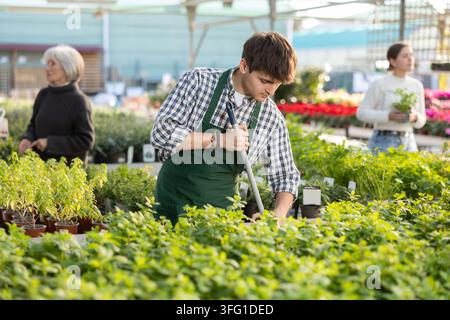 Un employé de magasin balaye avec une serpillière près d'un stand de buissons de menthe dans un hypermarché de jardinage Banque D'Images