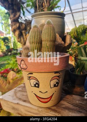 Petit cactus poussant dans un pot en terre cuite peint à la main avec un visage joyeux. Se trouve sur une étagère en bois dans un jardin de serre. Banque D'Images