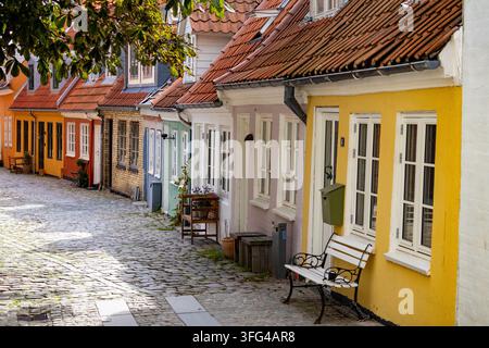 Des maisons traditionnelles colorées bordent une rue pavée tranquille à Aalborg, au Danemark. Façades jaunes, blanches, pastel et orange avec des fenêtres encadrées de blanc. Banque D'Images