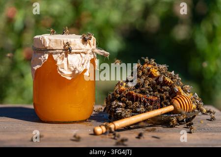 Pot de miel frais et rayons de miel recouverts d'abeilles vivantes, gros plan. Miel doux biologique dans un pot en verre et rayons de miel crus avec essaim d'abeilles sur une assiette avec Banque D'Images