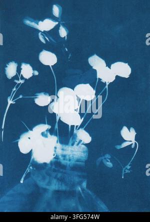 Organic Bloom — Cyanotype abstrait Banque D'Images