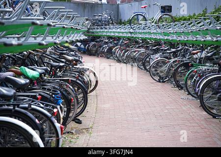 Rotterdam, Pays-Bas – 07.19.2026 Un parking à vélos sur plusieurs niveaux avec un grand nombre de vélos garés Banque D'Images