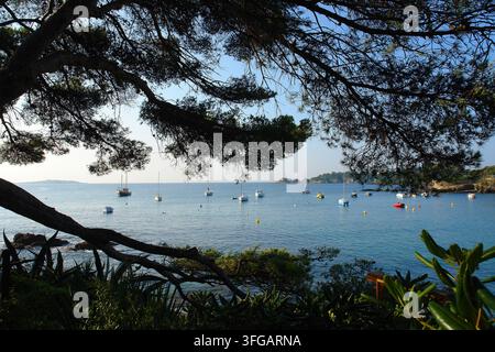 Bateaux à l'ancre à l'Anse du Pradeau, péninsule de Giens Banque D'Images