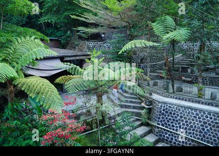 Des fougères tropicales encadrent un sentier de pierre rustique. Une végétation luxuriante entoure un jardin tranquille et moussu. Des marches de pierre montent à travers une végétation stratifiée Banque D'Images