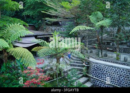 Des fougères tropicales encadrent un sentier de pierre rustique. Une végétation luxuriante entoure un jardin tranquille et moussu. Des marches de pierre montent à travers une végétation stratifiée Banque D'Images