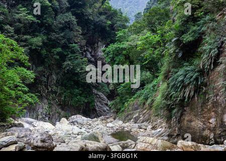 Vallée de la rivière Sanzhanxi à Taïwan. Falaises rocheuses abruptes avec un feuillage vert luxuriant. Lit de pierre du ruisseau sous une forêt de montagne dense. Banque D'Images
