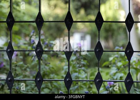 Clôture en fer forgé noir avec des formes en diamant créant une barrière protectrice devant un jardin vert vif avec des fleurs violettes, montrant la sécurité un Banque D'Images