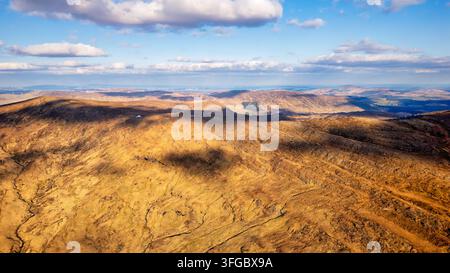Collines ondulantes couvertes d'herbe sèche et dorée sous un ciel bleu parsemé de nuages. Les ombres des nuages se projettent sur le paysage texturé et ondulant Banque D'Images