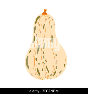 Illustration dessinée à la main de courge butternut dans des couleurs chaudes, légume citrouille pour l'automne, designs alimentaires et végétaux, décoration pour célébrations de vacances d'automne, h Illustration de Vecteur