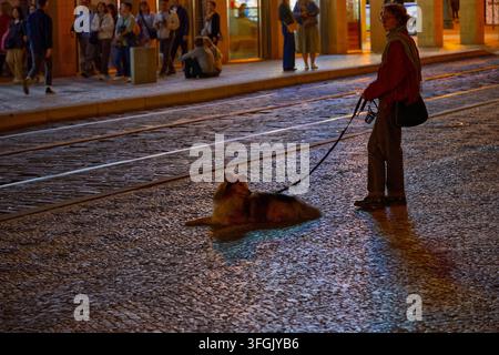 Une femme se tient avec son chien à côté des rails d'un tramway sur une rue pavée éclairée la nuit. Banque D'Images