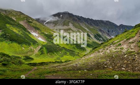 Vallée verdoyante dans la région de Vachkazhets au Kamtchatka, entourée de collines volcaniques arrondies, de prairies alpines, d'une végétation dense, de fleurs sauvages et d'un doux Banque D'Images