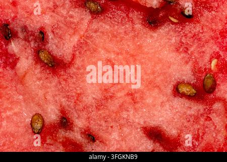 Un gros plan macro détaillé d'une pulpe de pastèque rouge mûre avec des graines sombres créant une texture de fruit naturelle Banque D'Images