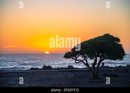 Un arbre solitaire se détachant sur un coucher de soleil éclatant au-dessus de l'océan Atlantique. Le ciel est en feu avec des teintes chaudes d'orange et de jaune, s'estompant progressivement Banque D'Images