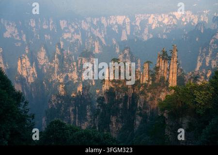 Des formations rocheuses de grès scéniques s'élèvent au-dessus de la forêt dans le parc national forestier de Zhangjiajie en Chine Banque D'Images