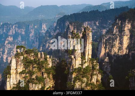 Des formations rocheuses de grès scéniques s'élèvent au-dessus de la forêt dans le parc national forestier de Zhangjiajie en Chine Banque D'Images