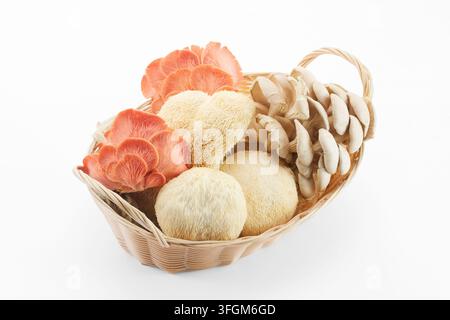 Panier contenant une huître rose, une huître grise et des champignons de lion Banque D'Images